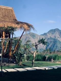 Bali Lesung - Kintamani - 6