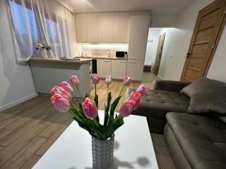 Apartamenty Biała Grań - 9