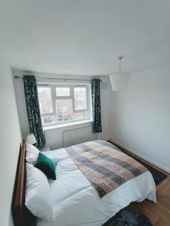 Spacious 3 bed flat opp Springfield park, Hackney. - Londra - 7