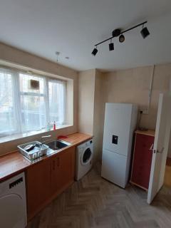 Spacious 3 bed flat opp Springfield park, Hackney. - Londra - 3