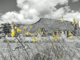 Los Aromos 1 - Cafayate - 2