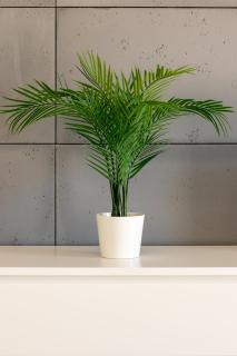 Langiewicza Deluxe Studio by BookingHost - 1