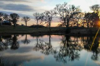 Aim Ranch - Groesbeck - 7