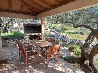 Robinson house Cvita - Tkon - 5