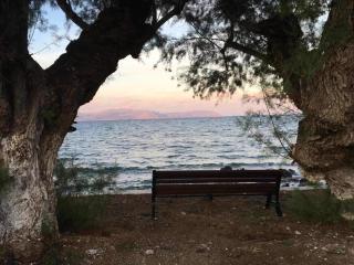 Evangelia House Sea View Apartments - Agia Pelagia - Kythera (Citera) - 6