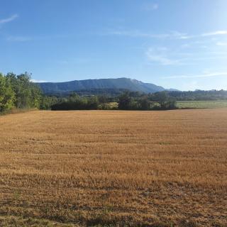 Gîtes Ô Café "Appartement 2 pièces" - 5