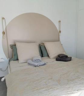 La Tiny de Louis, au milieu des oliviers, avec jolie piscine - Draguignan - 1