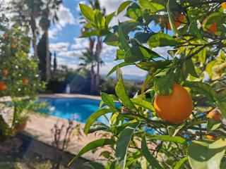 Villa with spectacular views - Jávea - 8