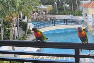Perfect Apartment 2bd & 2Bth - Gold Coast - 0