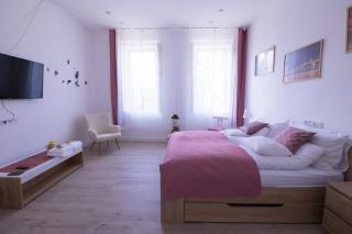 Wagner Villa 902 with free private parking - Budapest - 2
