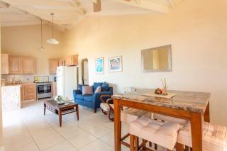 Oceanview Terrace I Full Kitchen I Steps to Beach I WiFi - Saint Lucy - 7