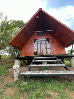Myra Chalets - Bijagua - 8