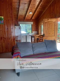 Cabaña 1 Vive Villarrica - 0