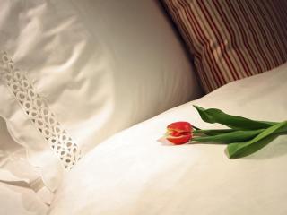 Blau Gran Hotel Las Caldas - Adults Only - 8