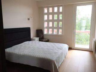 Appartement familial en hyper centre de Royan, 6/8 pers, ascenseur - FR-1-494-180 - Royan - 7