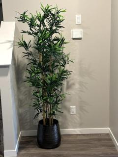 Luxury Villa Home - 1