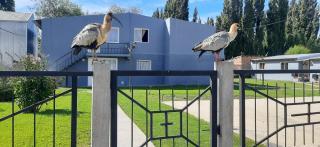 Departamentos MAWER - 9