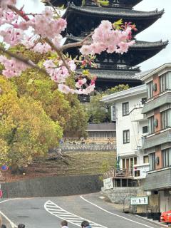 Ryokan Kousen Kazeya Group - Nara - 8