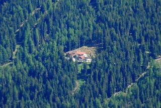 Gasthof Waldruhe - Sulden - 0