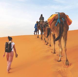 Merzouga classic Camp - 2