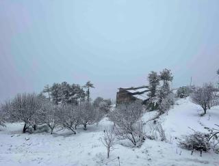 Shimla Best place to live. - 7