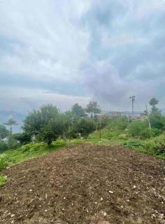 Shimla Best place to live. - 3