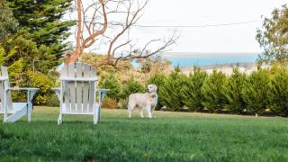 Ocean View House - Red Hill South - 0