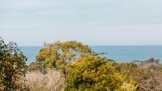 The Deck Shoreham - Shoreham - 5