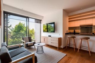 Amazing 2BR in Condesa - Città del Messico - 5