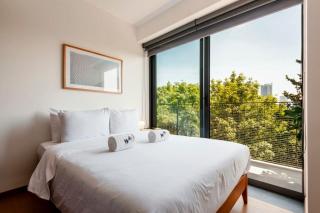 Amazing 2BR in Condesa - Città del Messico - 6