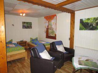 "Hochstein" Modern retreat - Harbshausen - 4