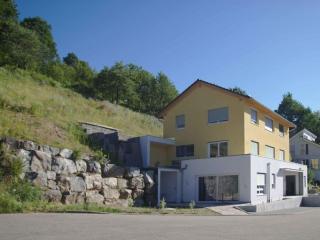 Rebenrain Comfortable holiday residence - Steinach - 0