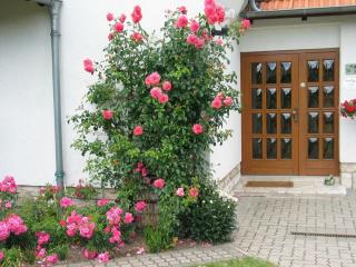 Rose ambience Modern retreat - Bad Langensalza - 9