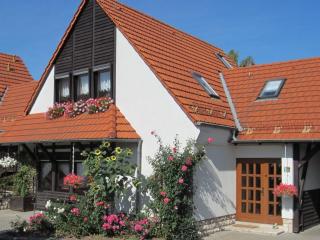 Rose ambience Modern retreat - Bad Langensalza - 0