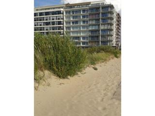 Noordpas Comfortable holiday residence - Koksijde - 4