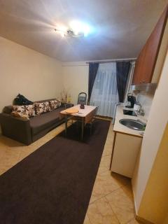 Cetate Apartament - 1