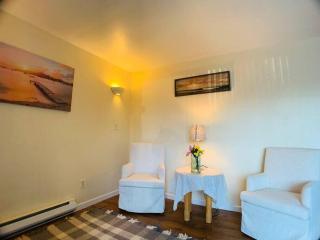 North Capital Hill Oasis - Seattle - 9