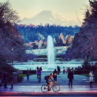 Seattle Urban Village- OL - Seattle - 1