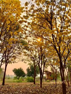 Baansahree Farmstay - Lan Sak - 5