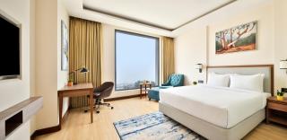 Golden Tulip Jalandhar - Jalandhar - 8