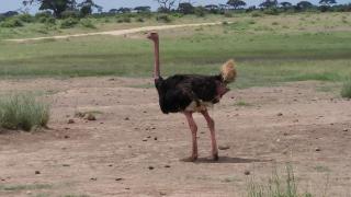 Amanya Hut Sleeps 6 with Mountain Views - 1