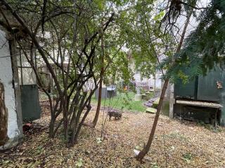Logement en Hôtel Particulier à 3mns de Paris et de 3 sites olympiques avec grand jardin et Jacuzzi - Boulogne-Billancourt - 3