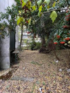 Logement en Hôtel Particulier à 3mns de Paris et de 3 sites olympiques avec grand jardin et Jacuzzi - Boulogne-Billancourt - 2