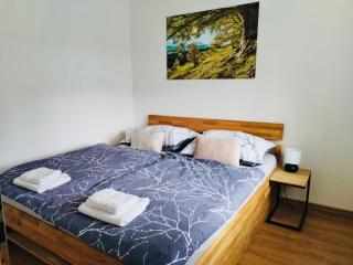 Horský apartmán Karlovice - Karlovice - 8