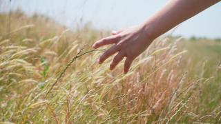 Chapter Farm Cottages - 6