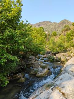 Rivulet Resort & Camping - 7