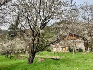 Chalet Le Tilleul - Valdeblore - 6