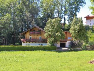 Special Apartment in Walchen with Private Terrace - Piesendorf - 0