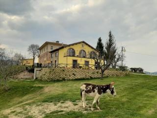 Agriturismo Antica Corte - 7