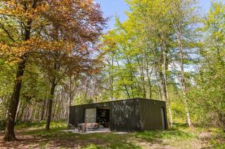 Huswell - Cozy Forest Cabinet with Private Hot Tub - Stekene - 9